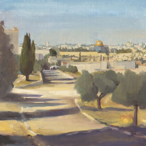 View from Emek Tzurim